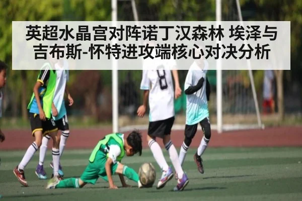 英超水晶宫对阵诺丁汉森林 埃泽与吉布斯-怀特进攻端核心对决分析